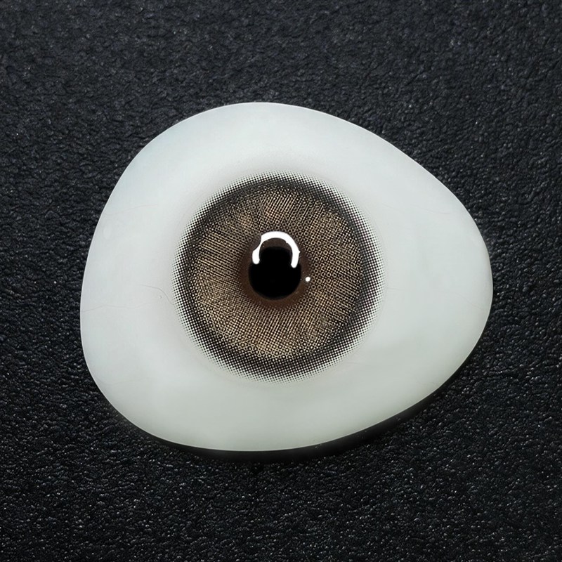 Walnut Grey 6 Months Contact Lenses | 2 Pcs