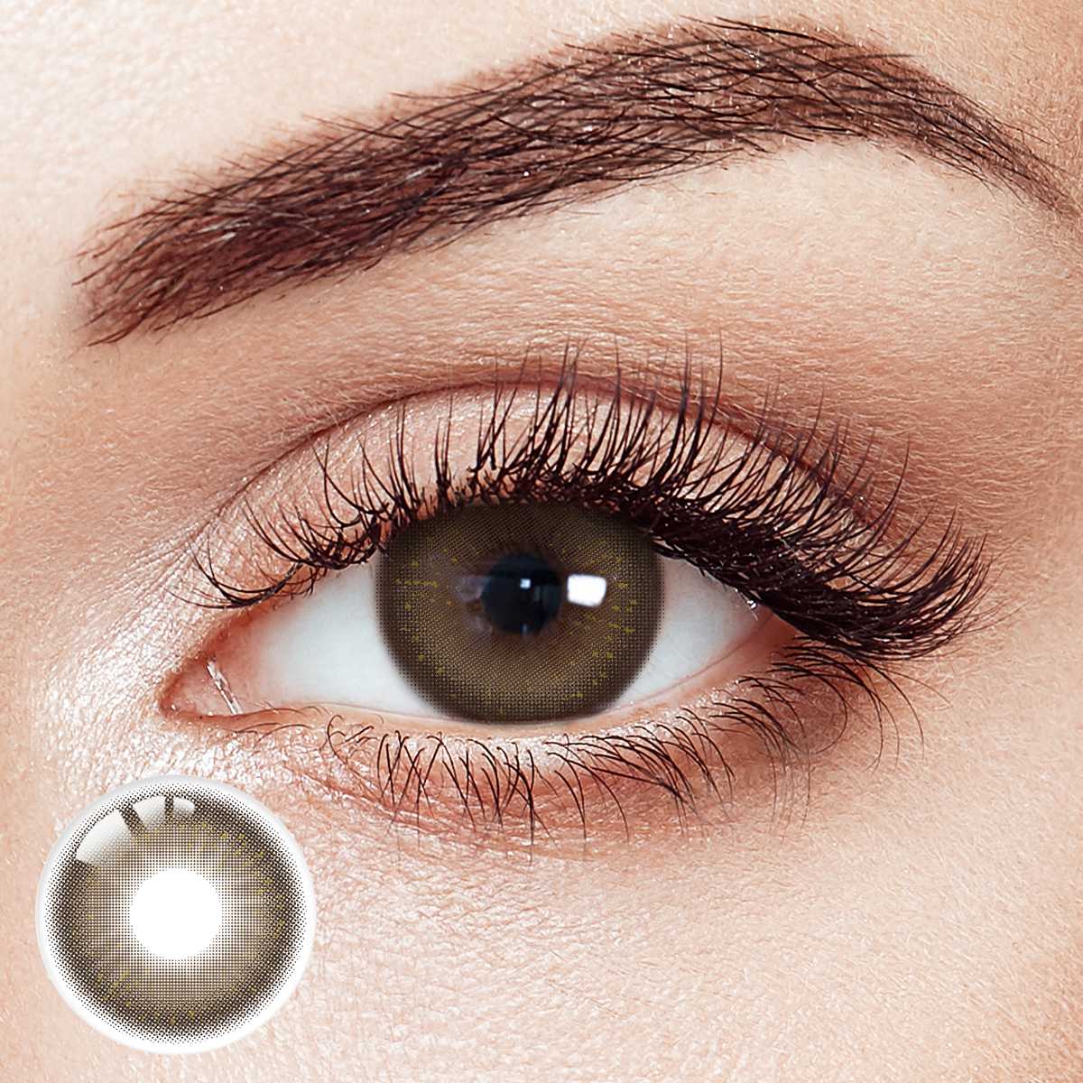Flicker Brown 6 Months Contact Lenses | 2 Pcs