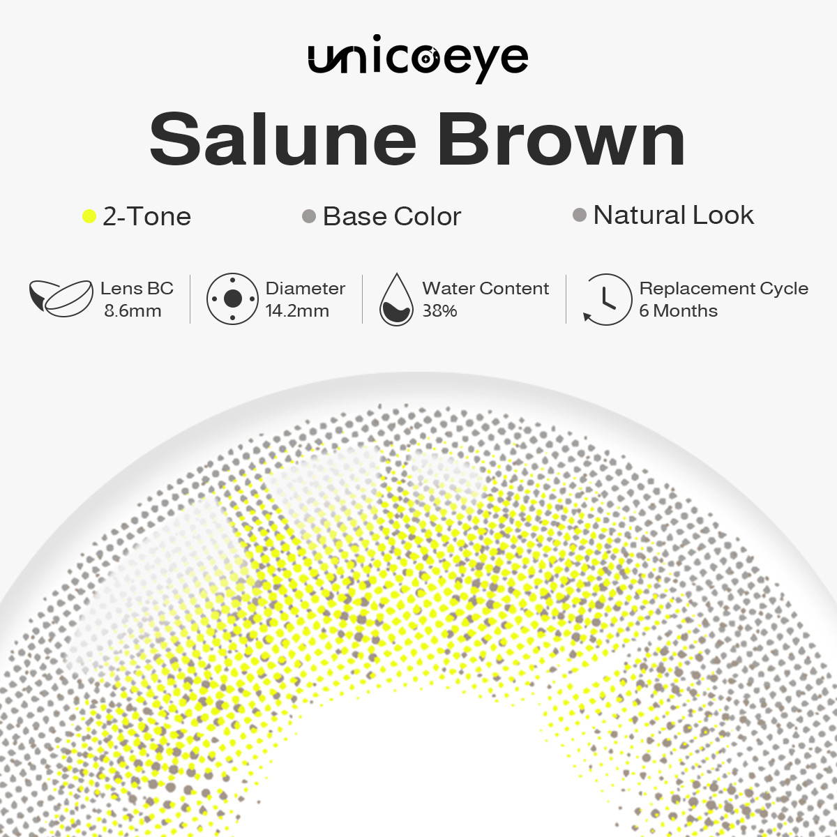 Salune Brown 6 Months Contact Lenses