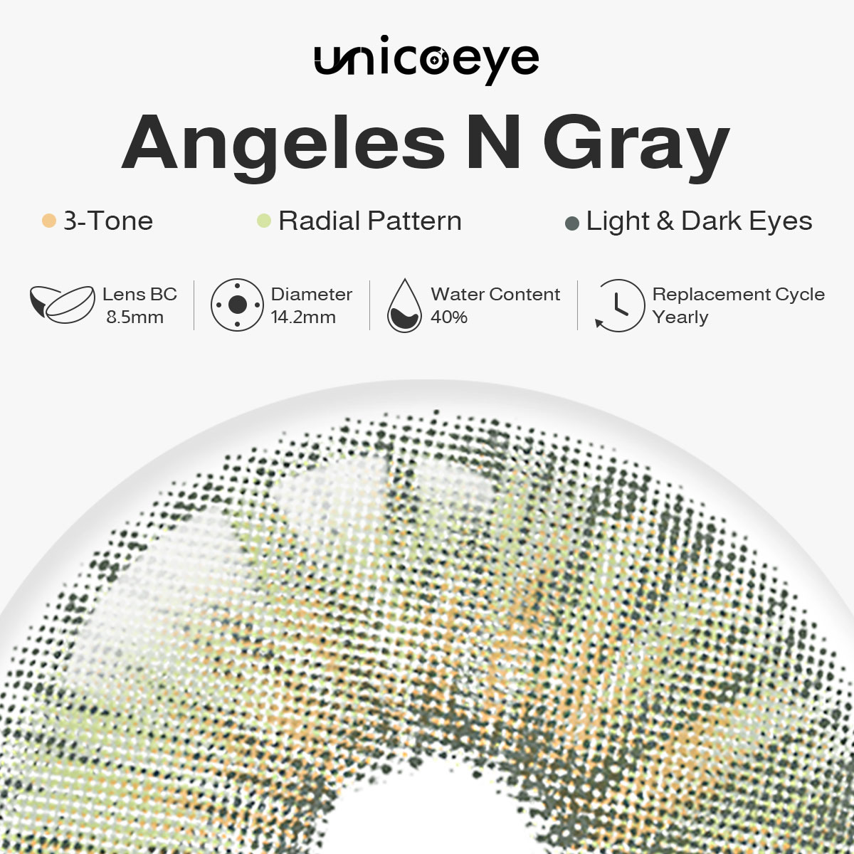 Angeles N Gray Yearly Contact Lenses | 2 Pcs