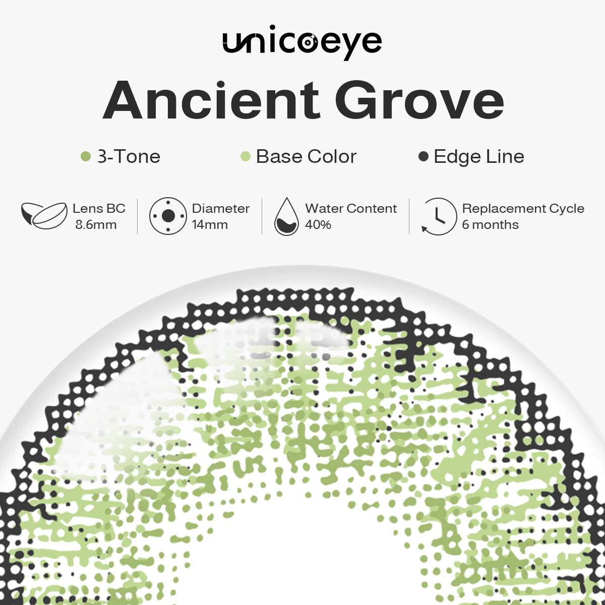 Ancient Grove Green 6 Months Contact Lenses | 2 Pcs