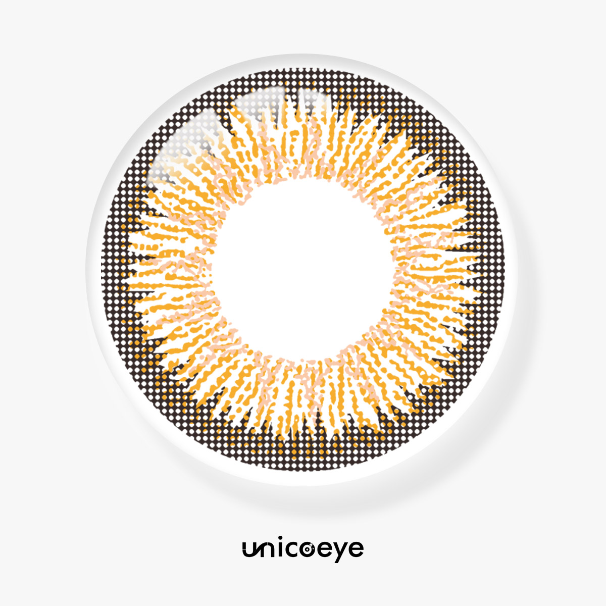 Bristle Brown 6 Months Contact Lenses | 2 Pcs