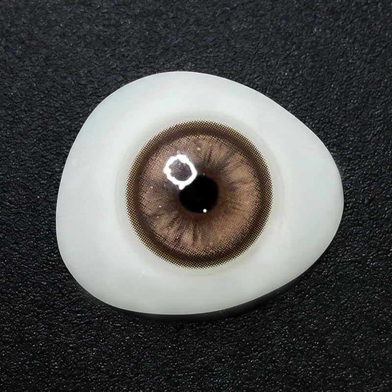 Nightfall Brown 6 Months Contact Lenses | 2 Pcs