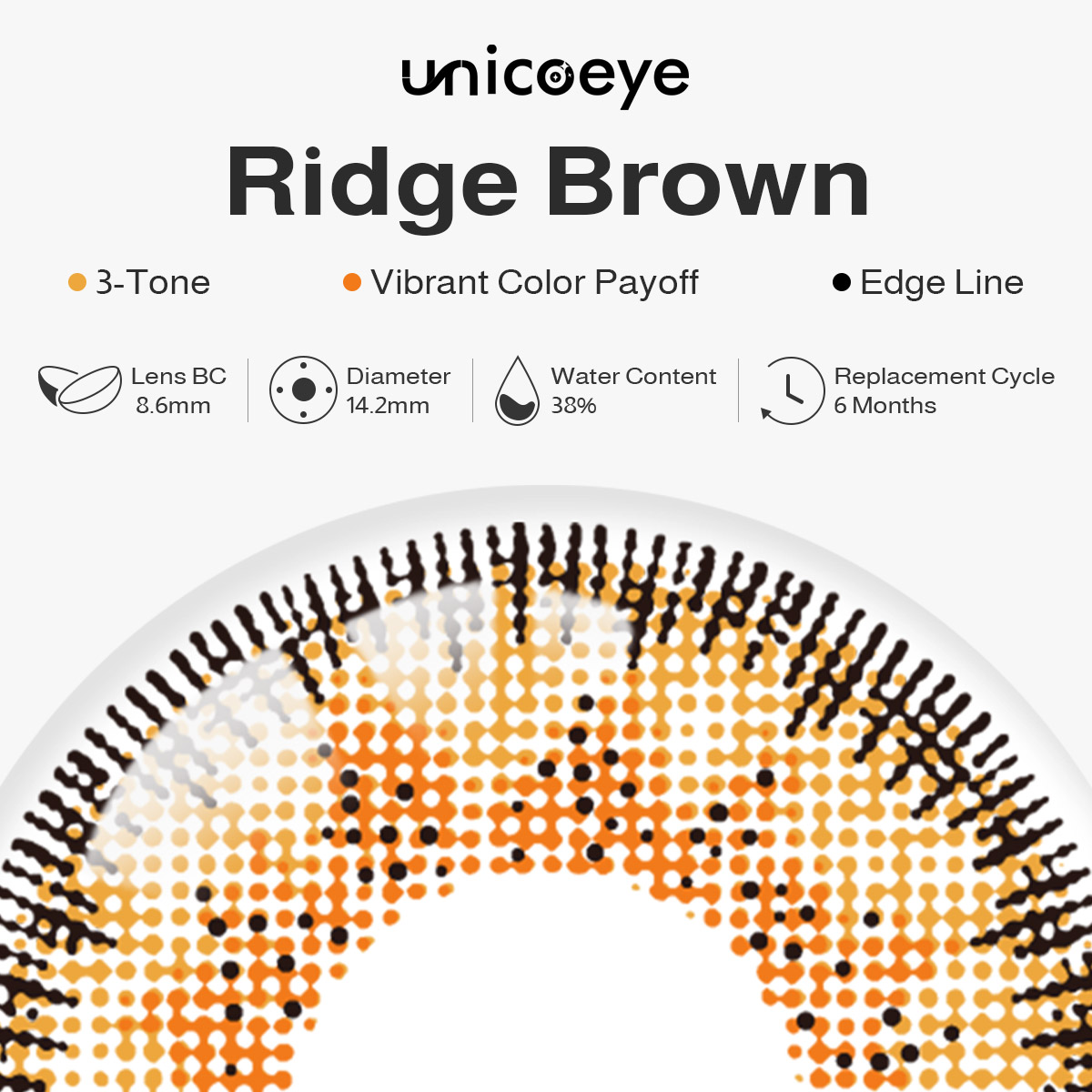 Ridge Brown 6 Months Contact Lenses | 2 Pcs