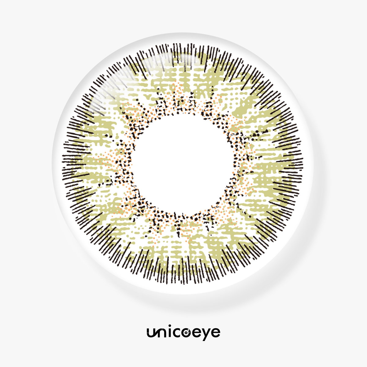 Whimsical Fern Green 6 Months Contact Lenses | 2 Pcs