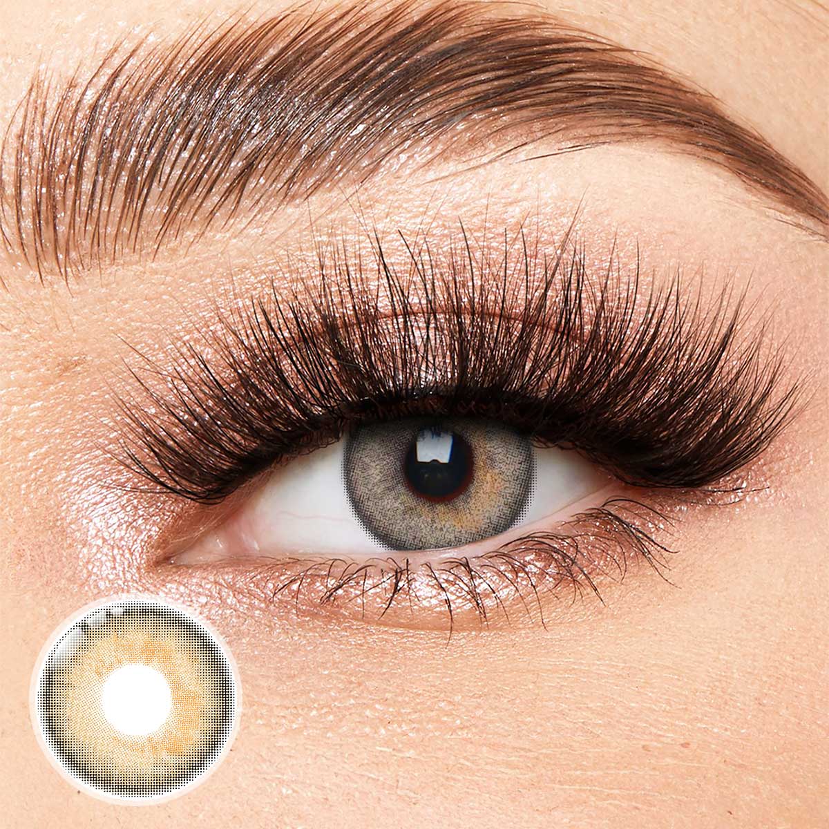 Spotlight Brown Yearly Contact Lenses