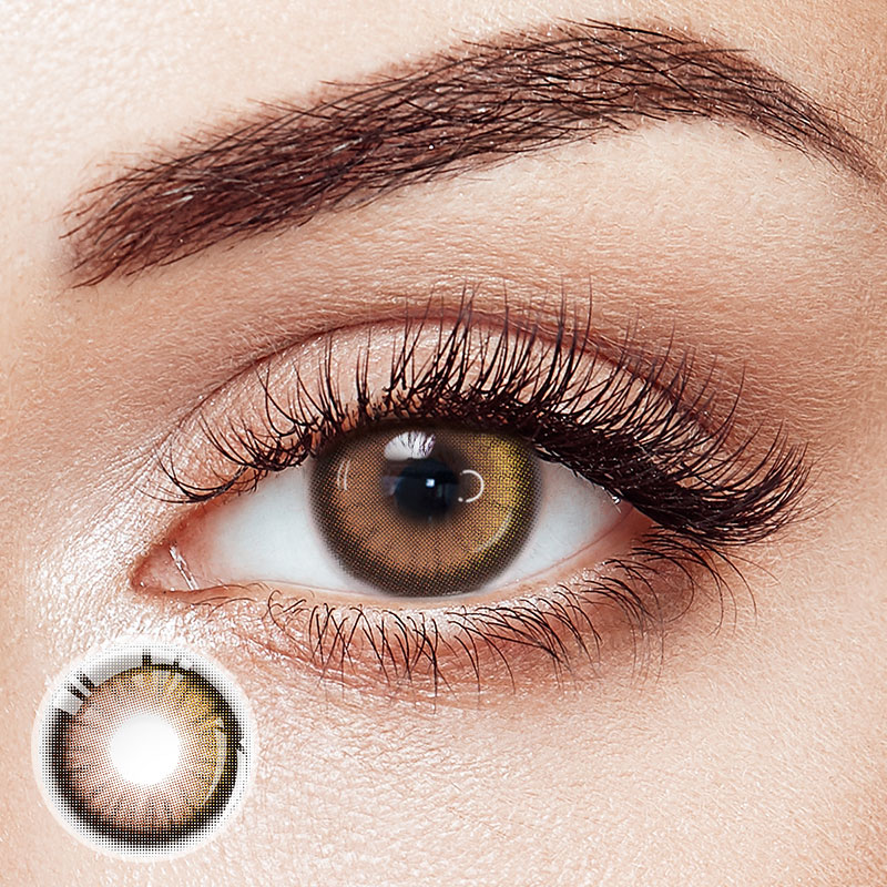 Terra Focus Brown 6 Months Contact Lenses