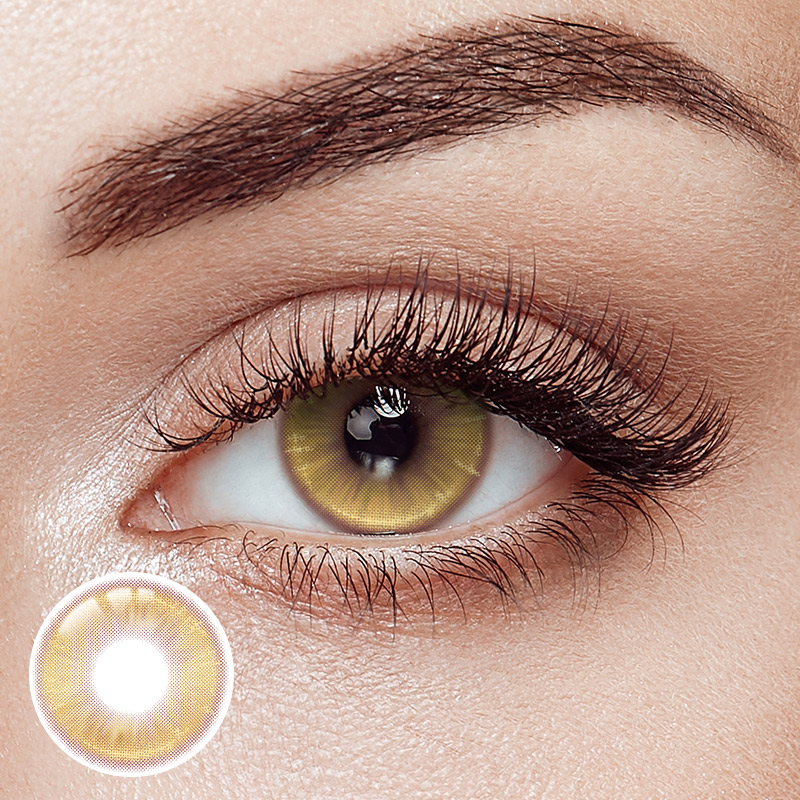 Golden Memory Brown  Yearly Contact Lenses