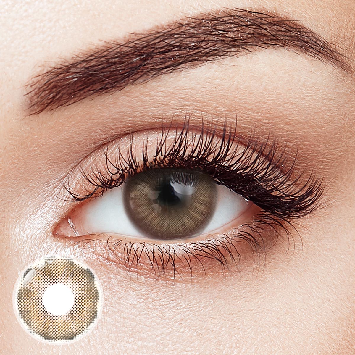 Brownie Brown Yearly Contact Lenses | 2 Pcs