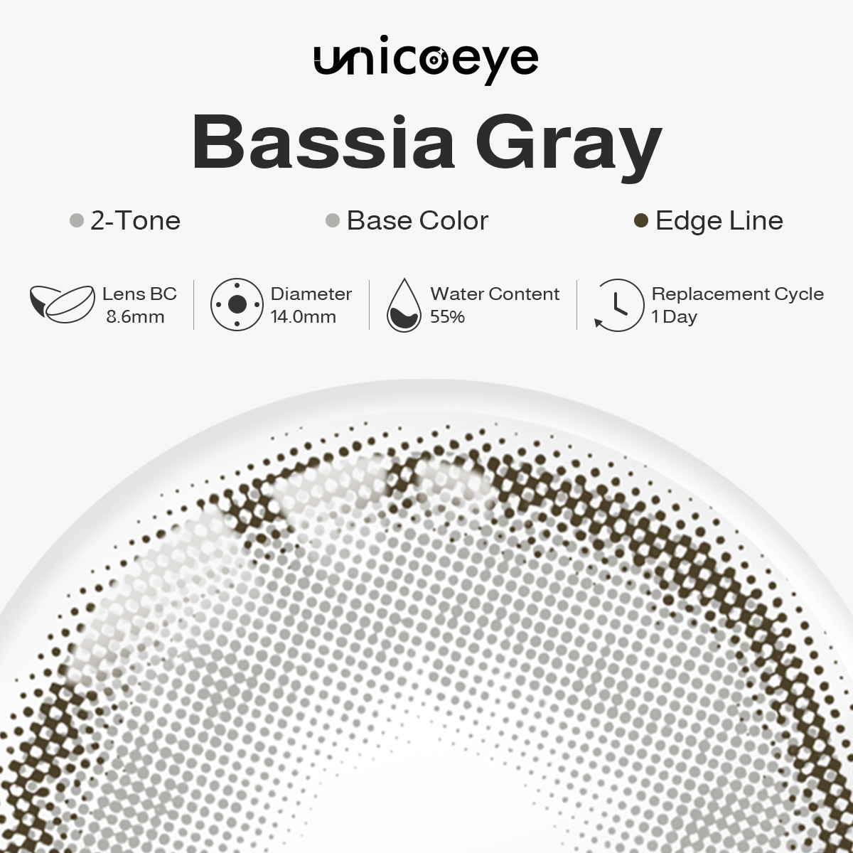 Bassia Gray Daily Contact Lenses | 10 Pcs