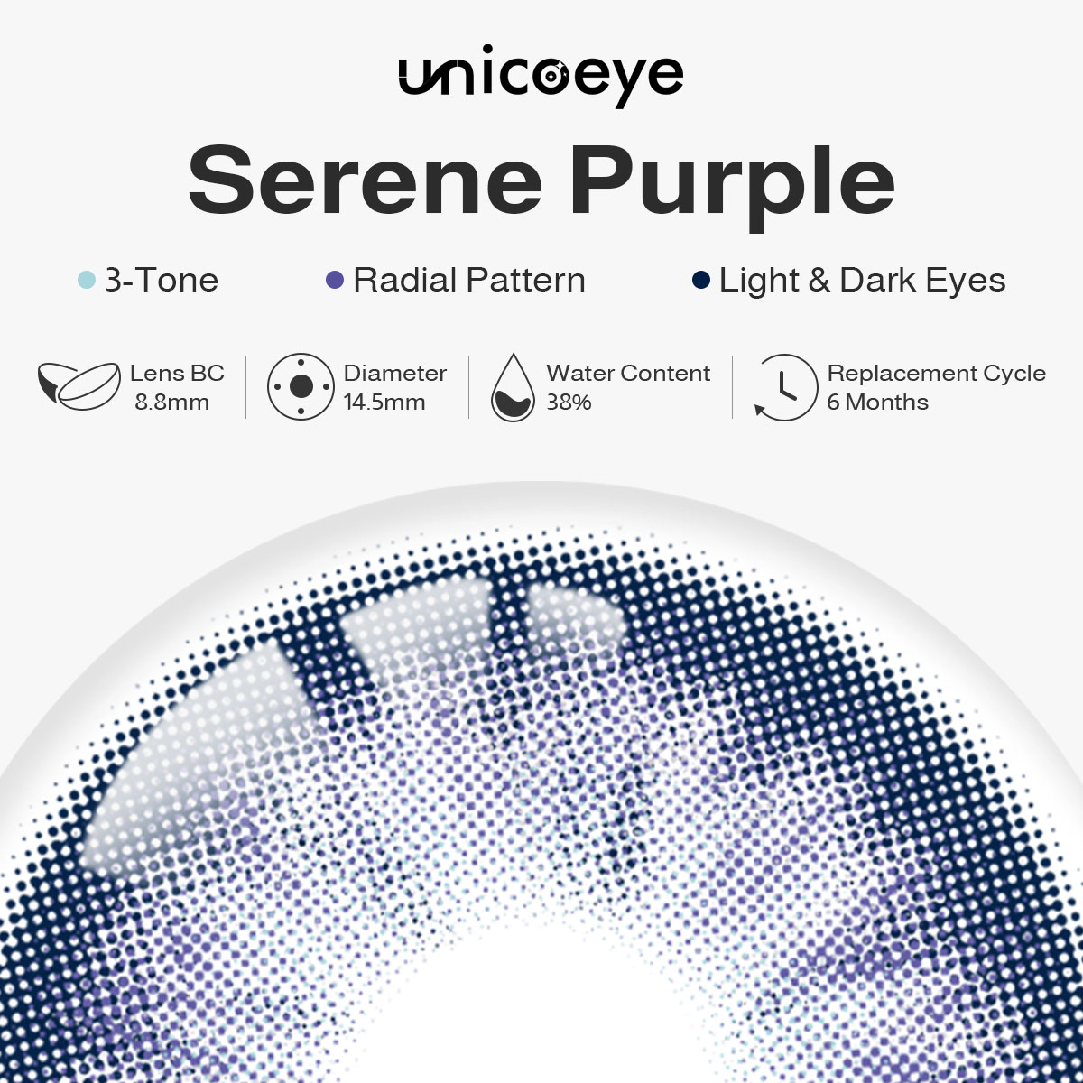Serene Purple 6 Months Contact Lenses | 2 Pcs