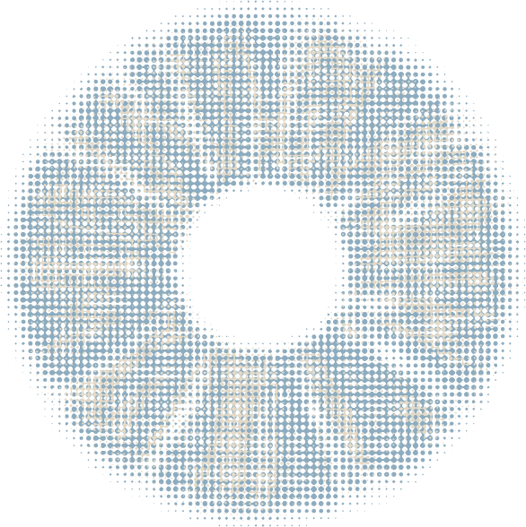 Gray 6 Months Contact Lenses