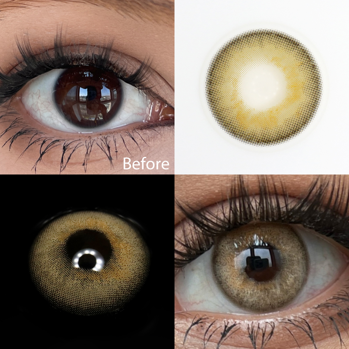 Spotlight Brown Yearly Contact Lenses