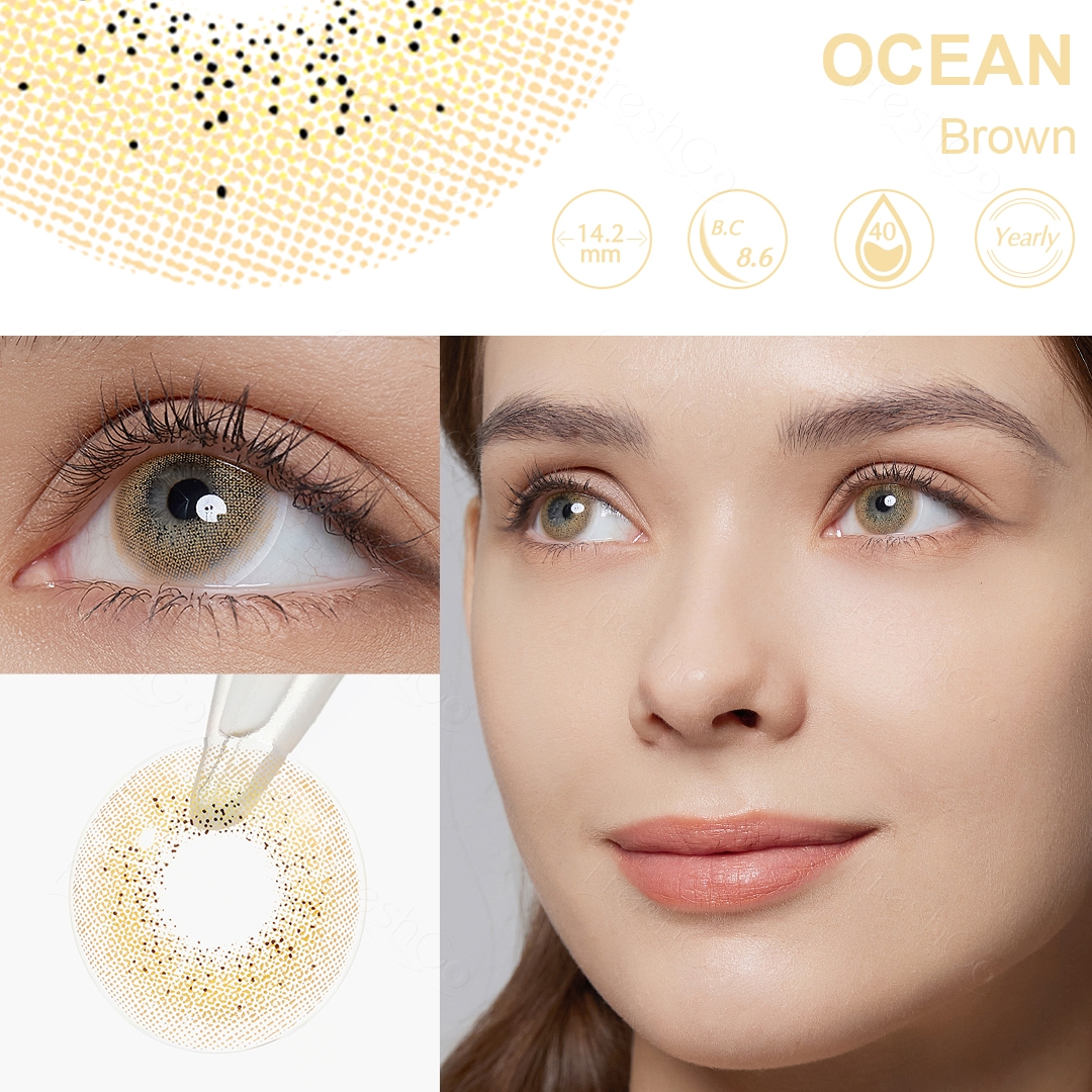 Ocean Brown Yearly Contact Lenses