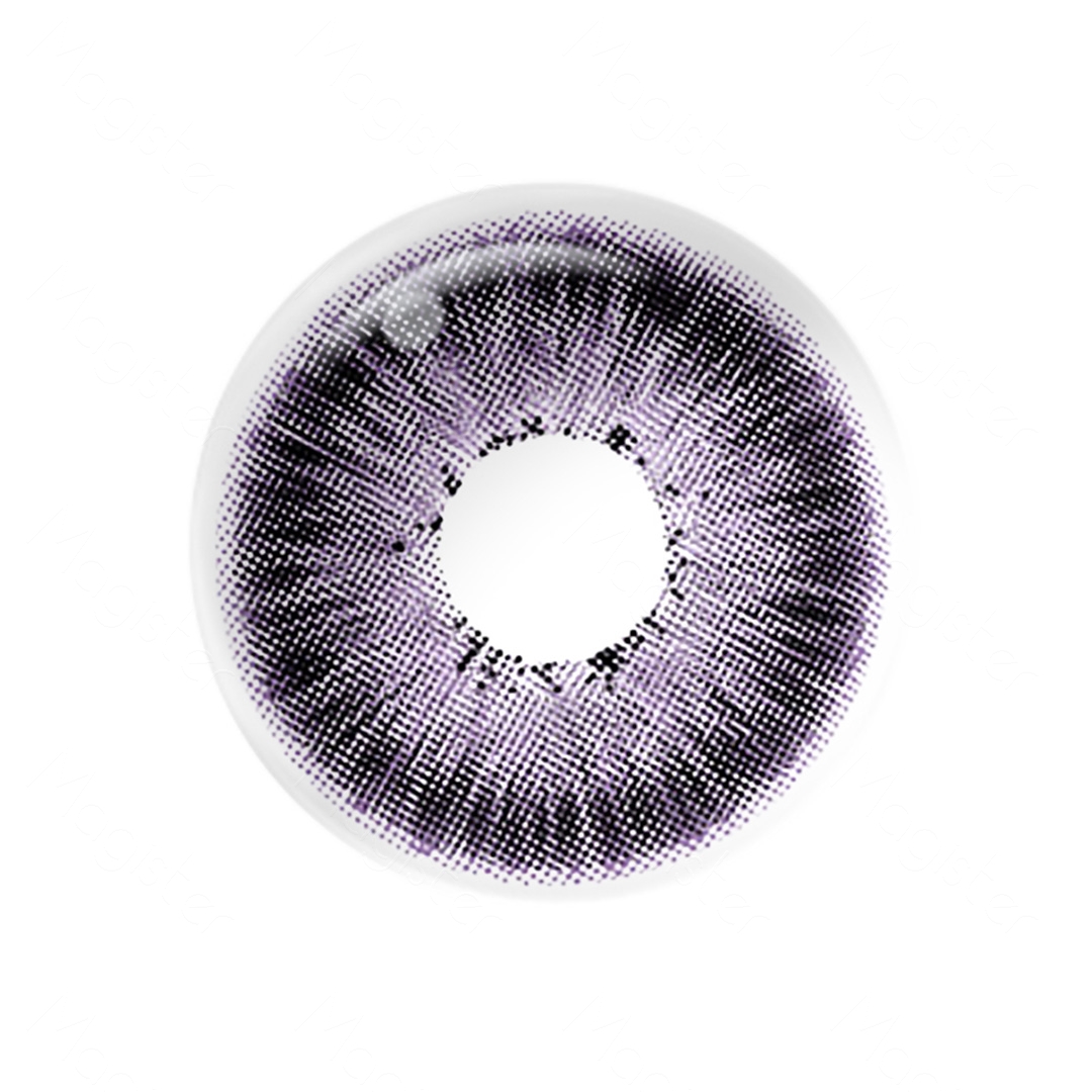 Pattaya Violet 6 Months Contact Lenses