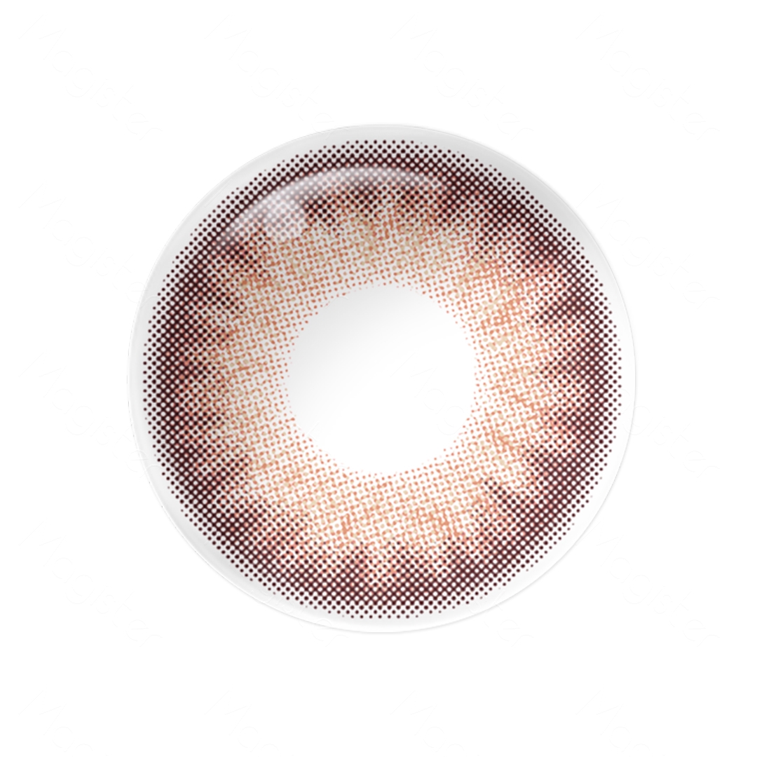 Flora Rose Brown 6 Months Contact Lenses