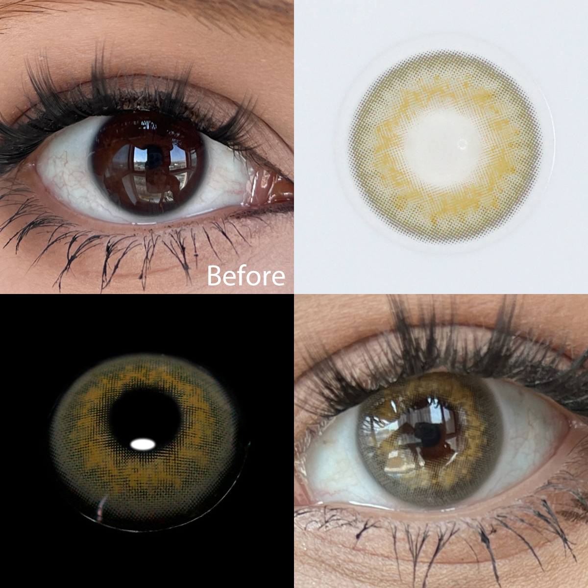 Wildcat Brown Yearly Contact Lenses