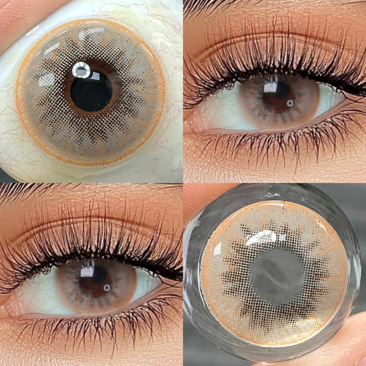 Sunburst Brown Yearly Contact Lenses