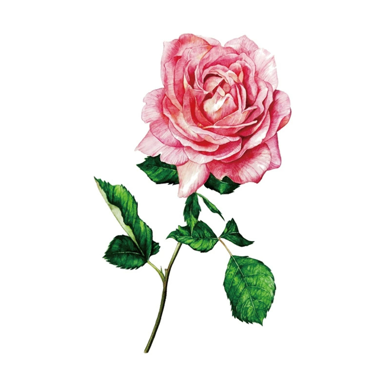 Vivid Bloom Tattoos