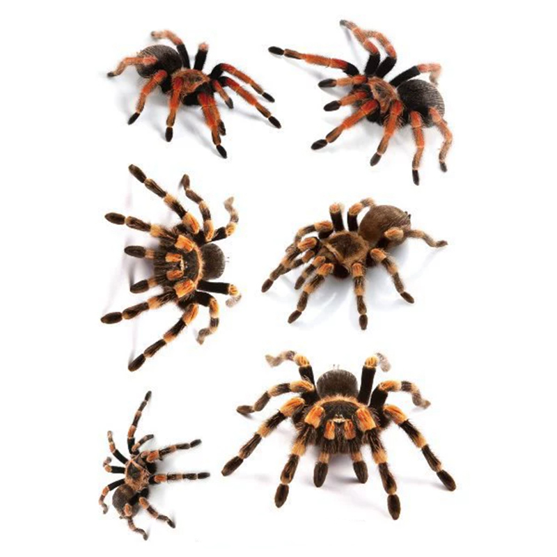 Spider Plush Tattoos