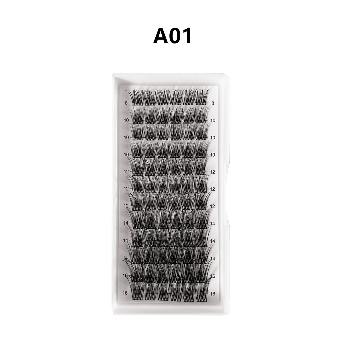 Onyx Dream Segmented Natural Lashes