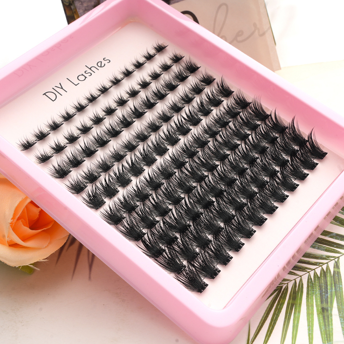 Alluring Arc Segmented Natural Lashes