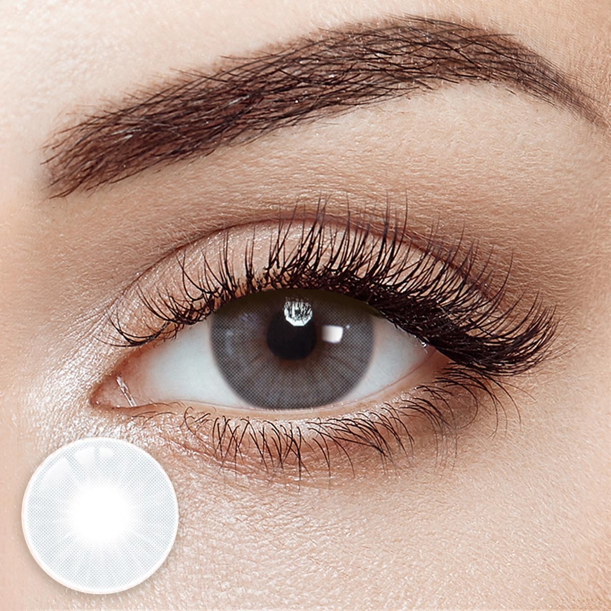 Queen Graphite 6 Months Contact Lenses