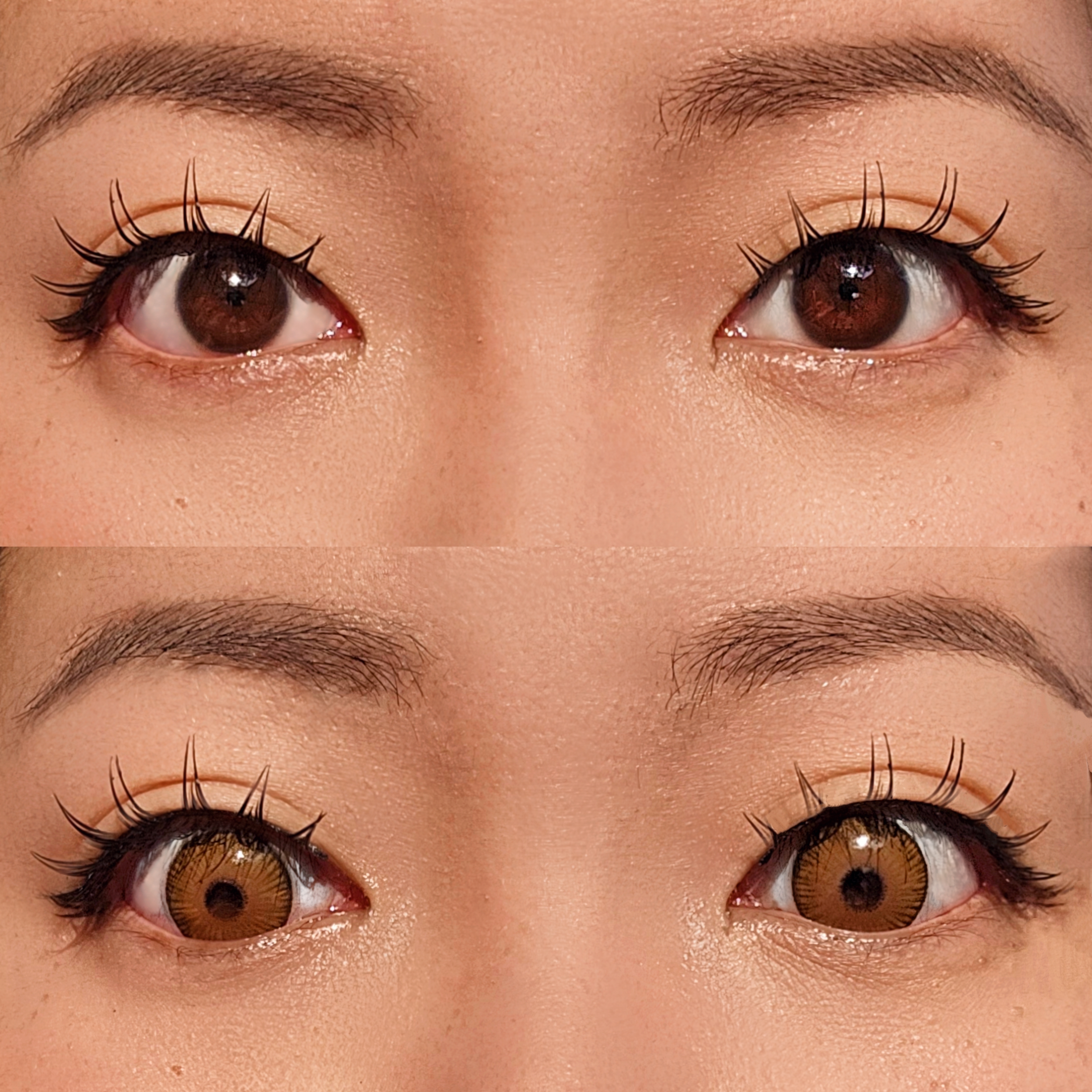 [US Warehouse] Fiesta Hazel Contact Lenses