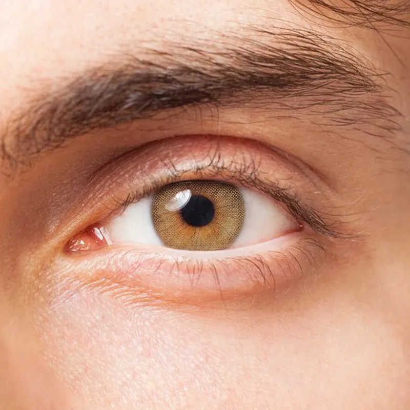 Mel 6 Months Contact Lenses