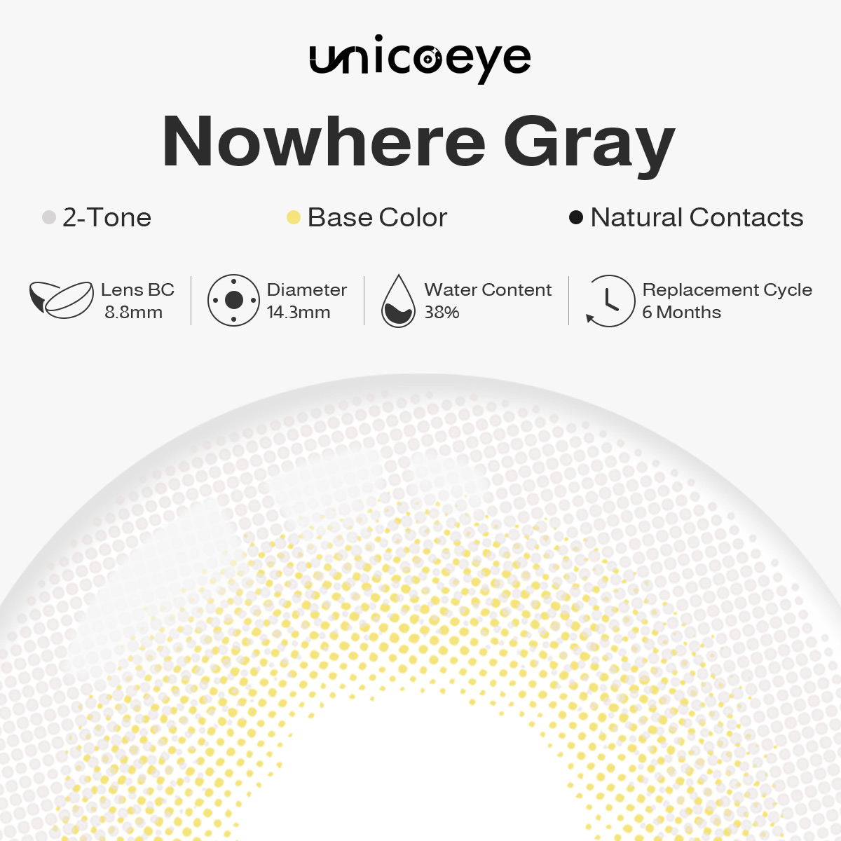 Nowhere Gray 6 Months Contact Lenses