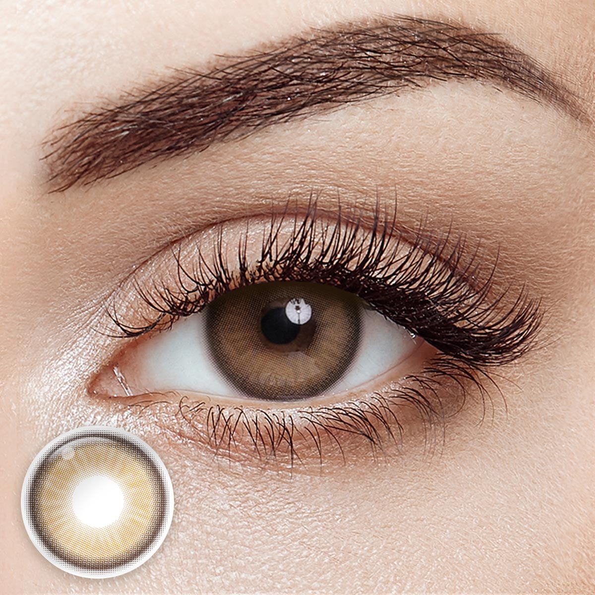 LUNA Sweet Brown 6 Months Contact Lenses