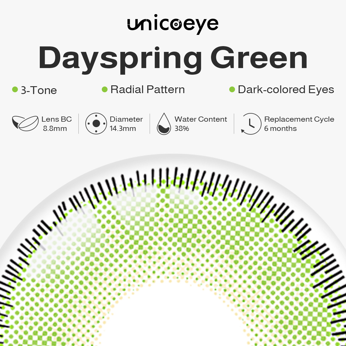 Dayspring Green 6 Months Contact Lenses