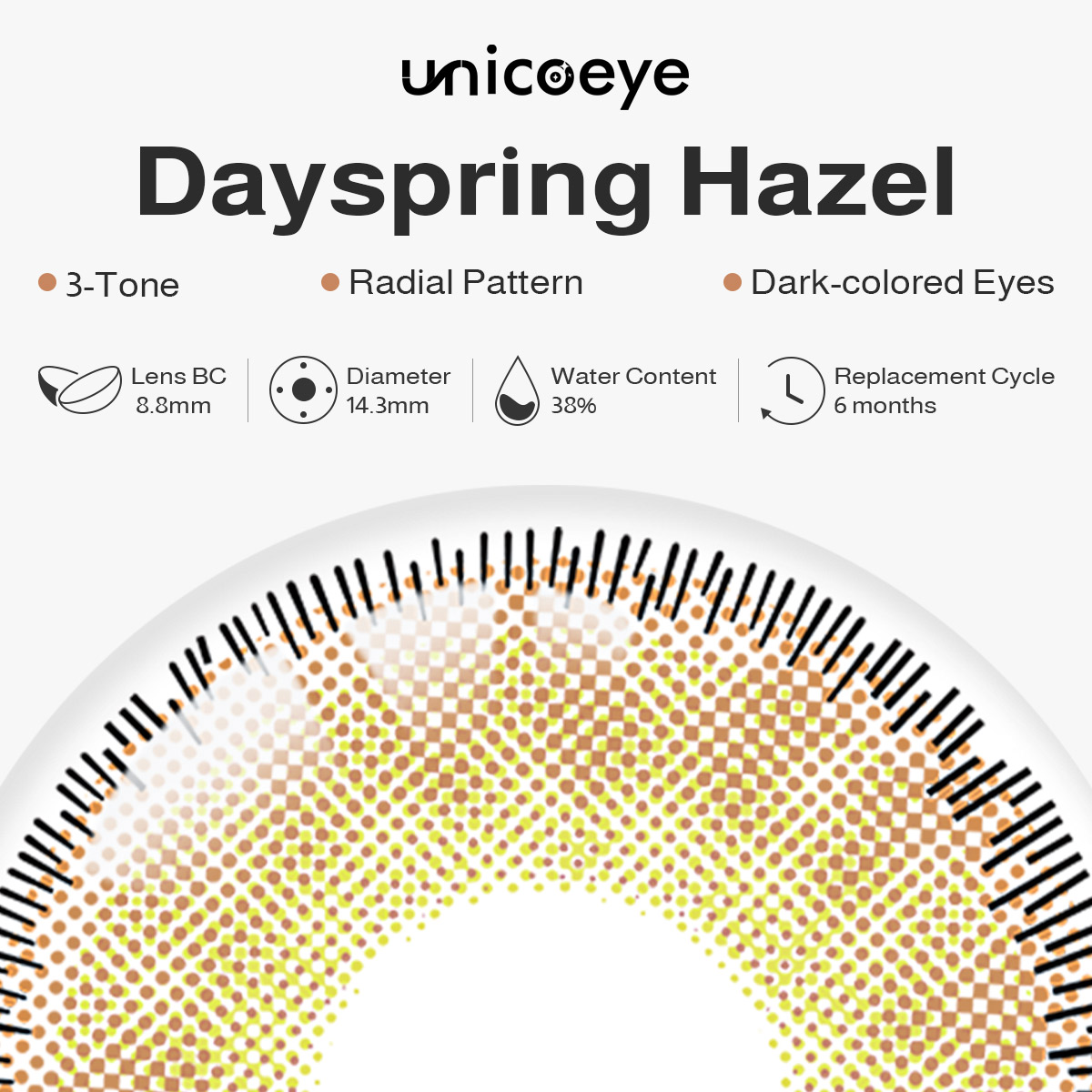 Dayspring Hazel 6 Months Contact Lenses