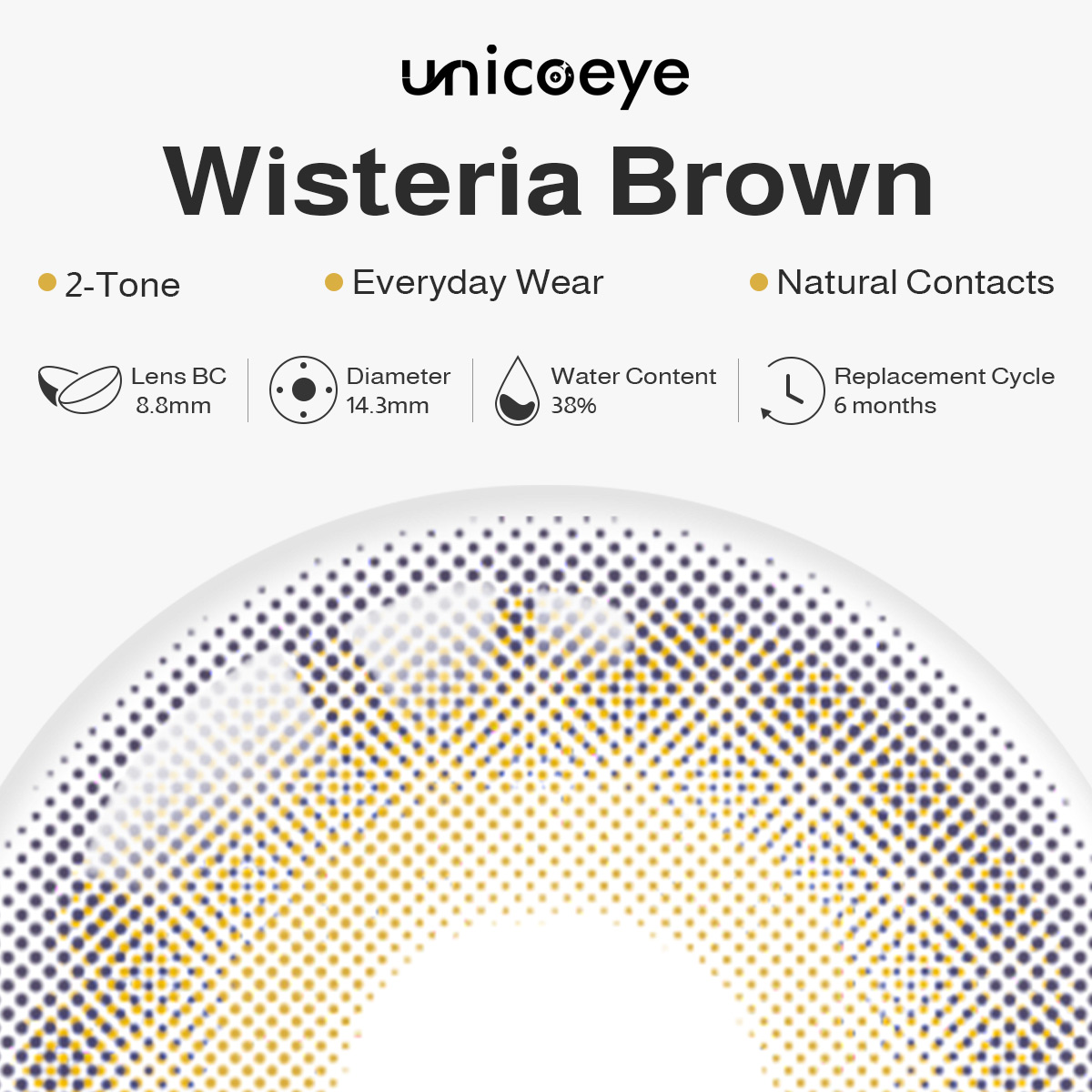 Wisteria Brown 6 Months Contact Lenses