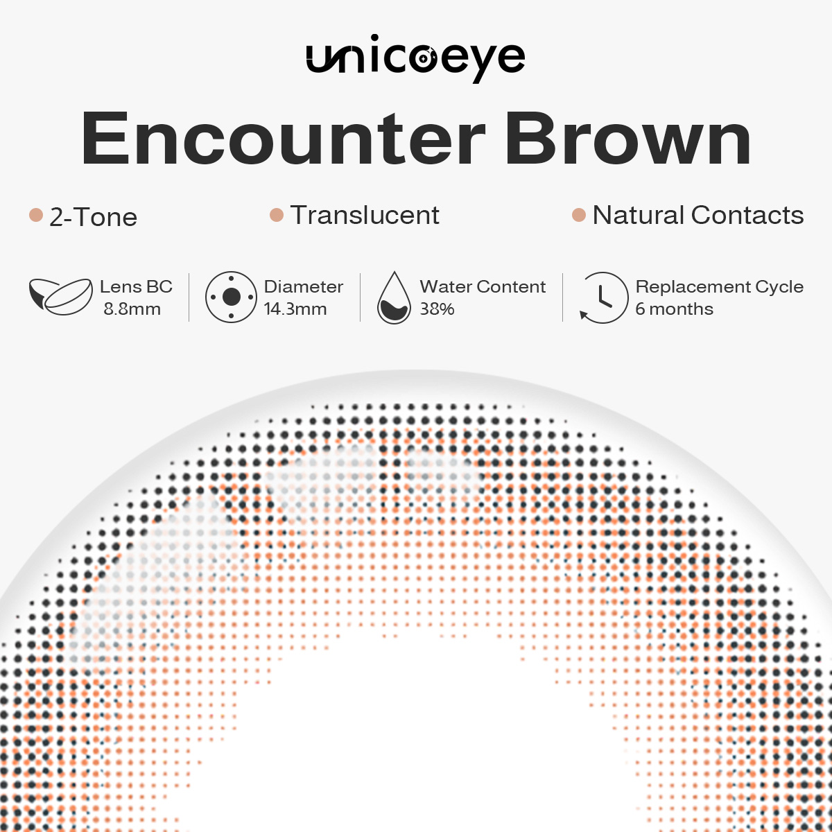 Encounter Brown 6 Months Contact Lenses