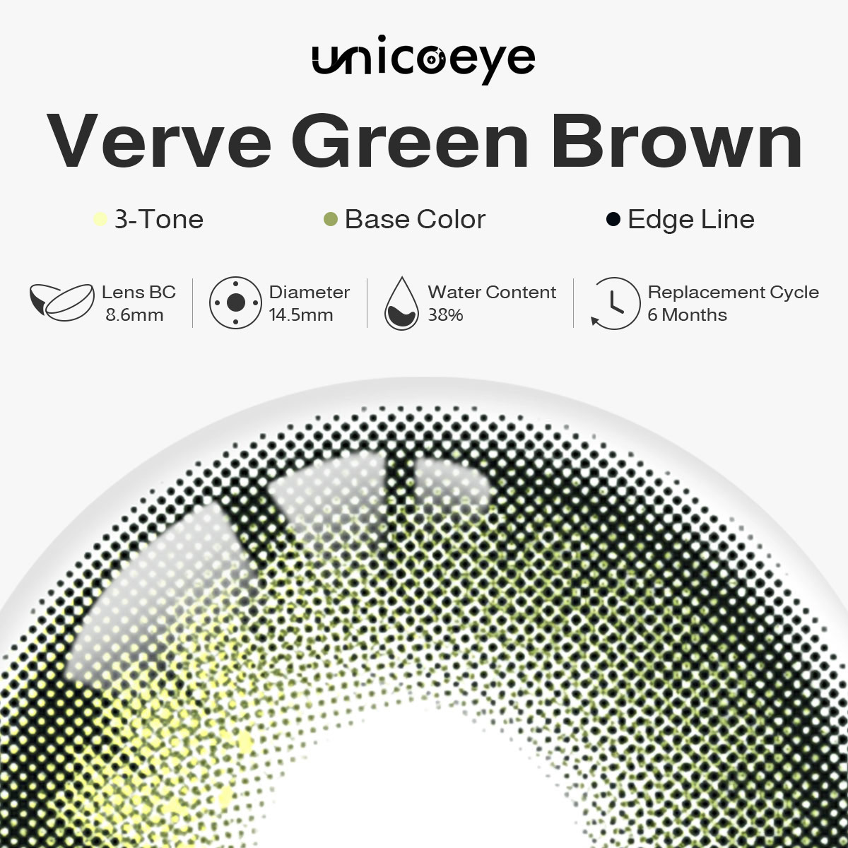 Verve Green Brown 6 Months Contact Lenses | 2 Pcs