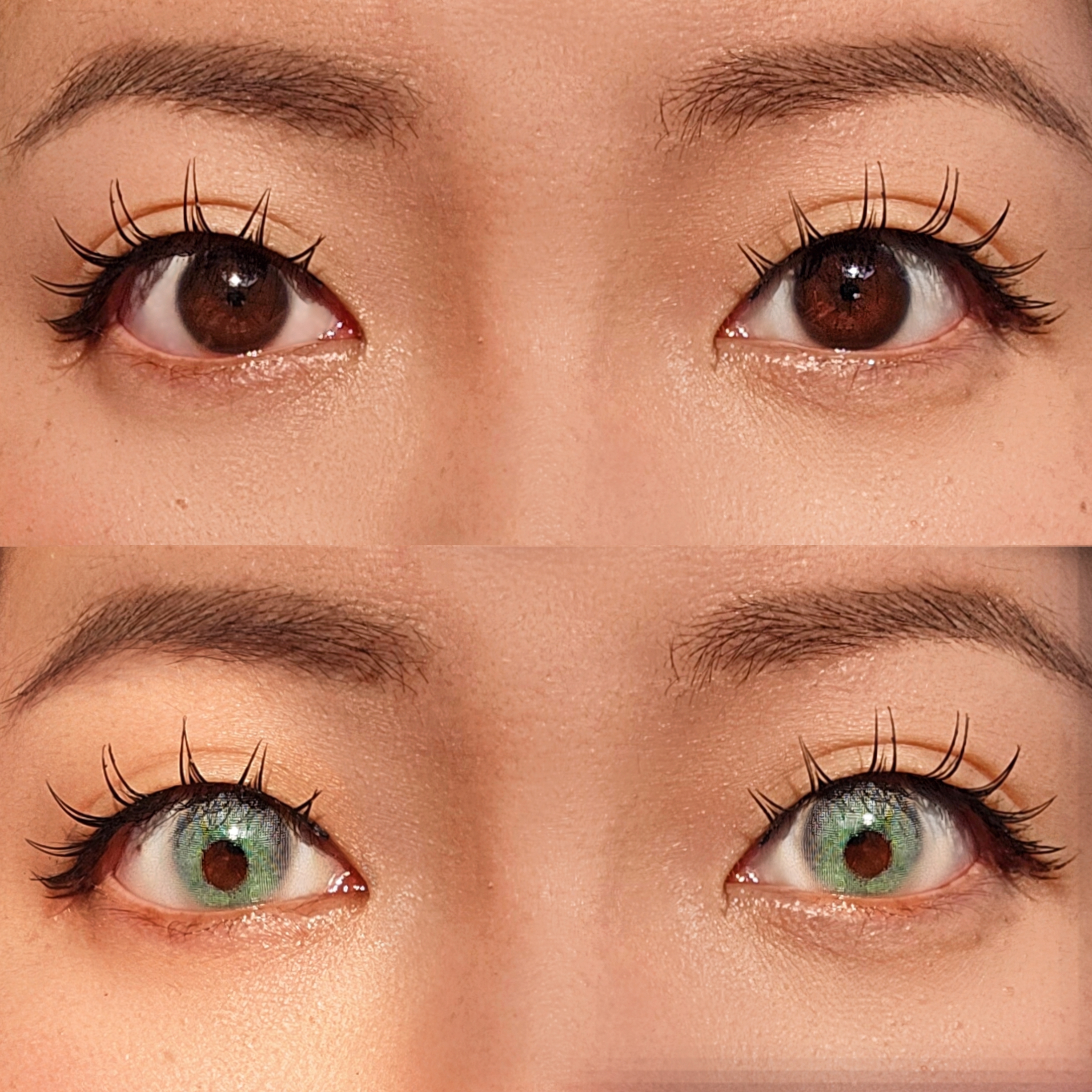 [US Warehouse] Yukon Green Yearly Contact Lenses