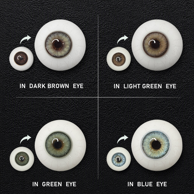 Young Venice 6 Months Contact Lenses