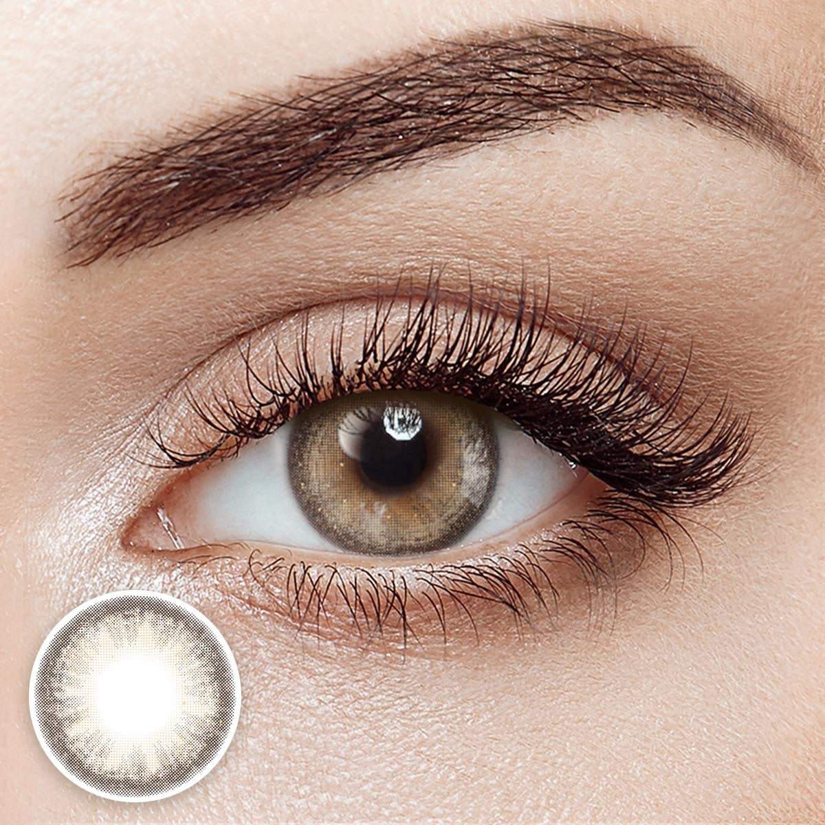 Stardust Brown 6 Months Contact Lenses