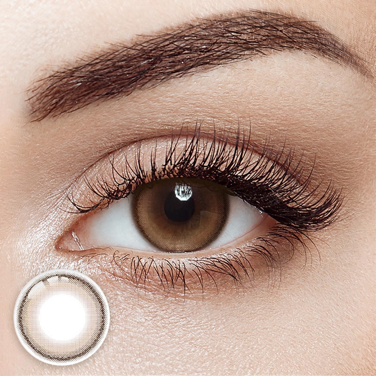 Peanut Brown 6 Months Contact Lenses