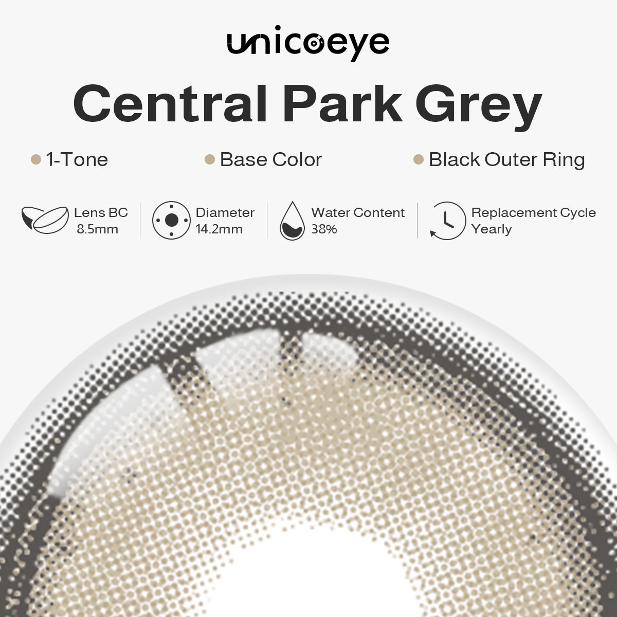 Central Park Grey Yearly Contact Lenses