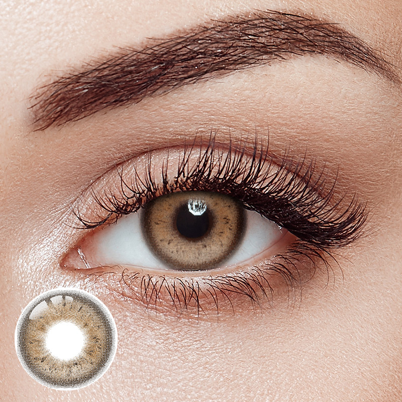 Roman Holiday Brown Yearly Contact Lenses