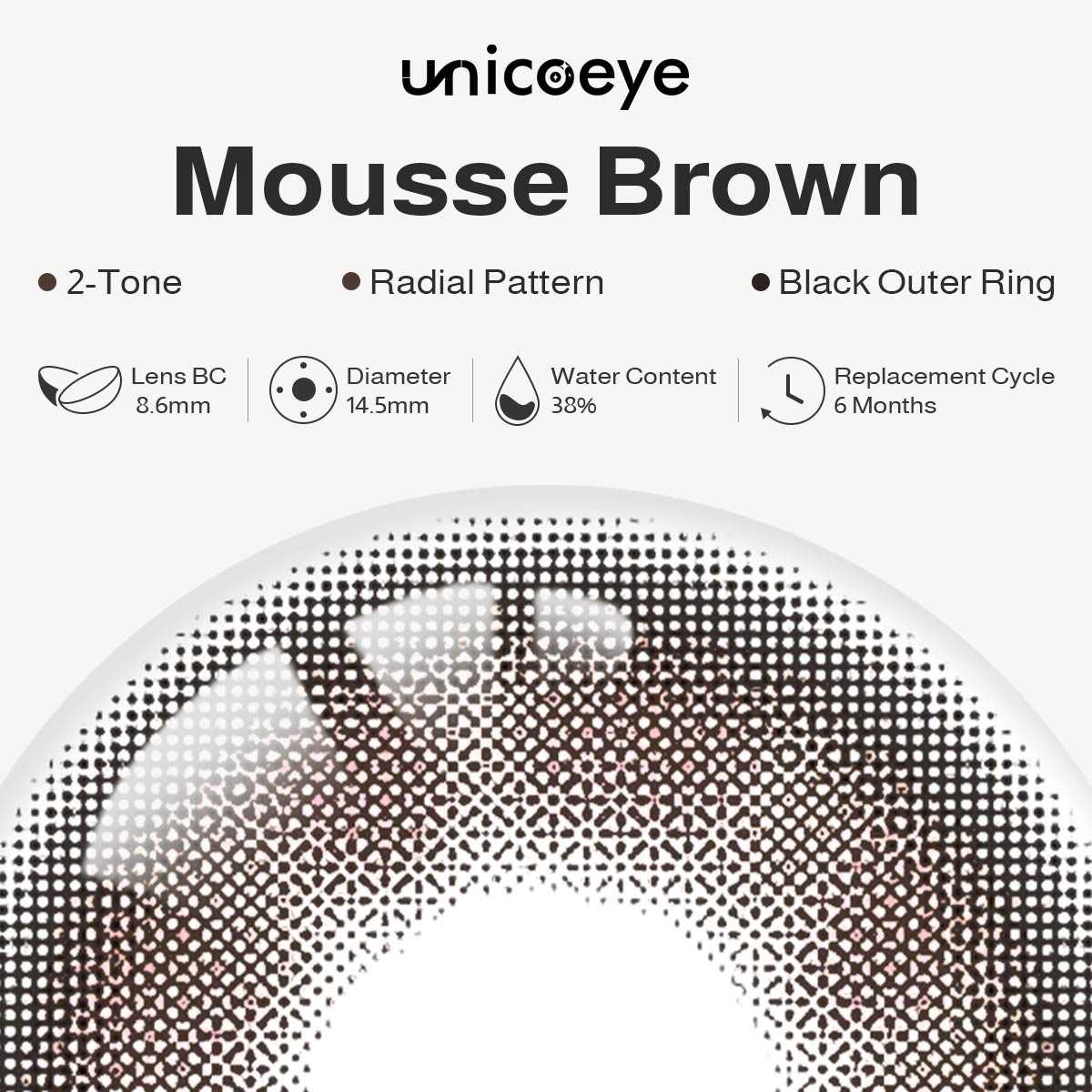 Mousse Brown 6 Months Contact Lenses
