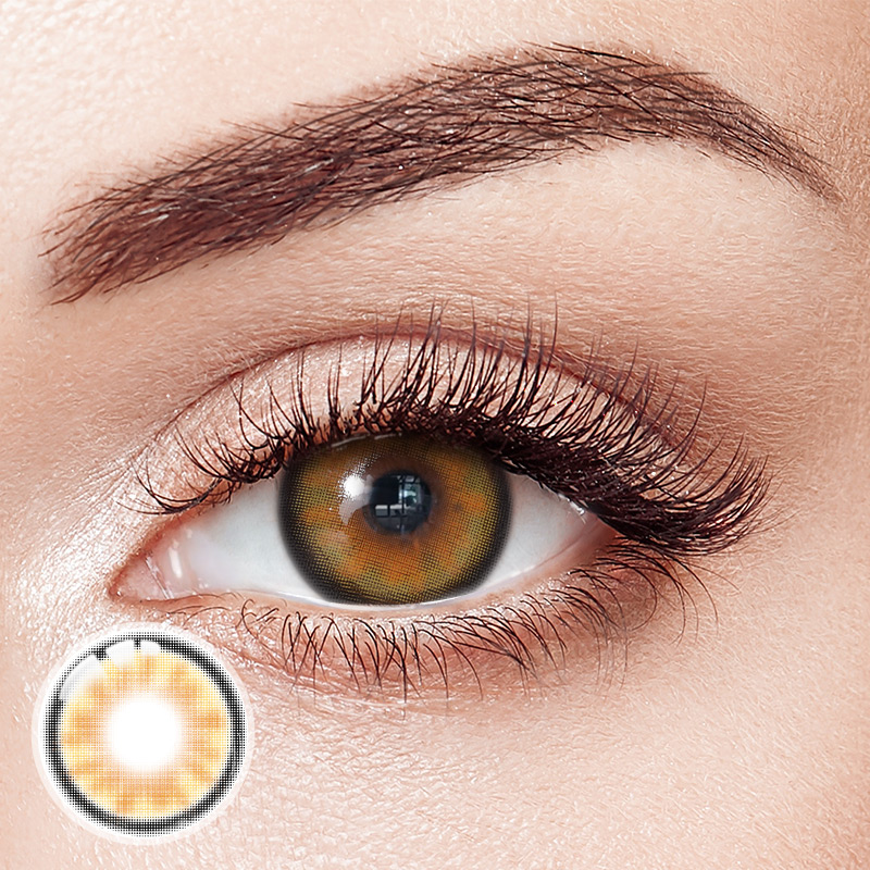 Evenfall Brown 6 Months Contact Lenses