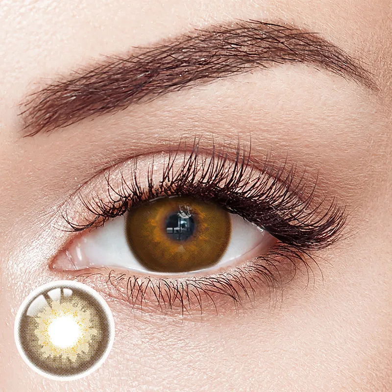 Immersing Brown 6 Months Contact Lenses