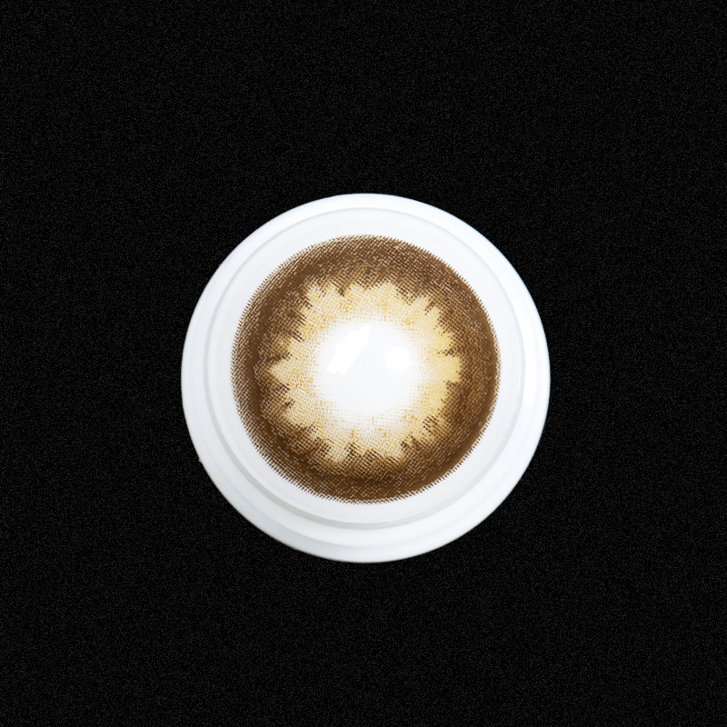 Immersing Brown 6 Months Contact Lenses
