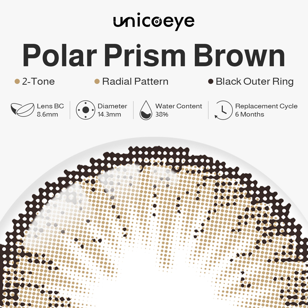 Polar Prism Brown 6 Months Contact Lenses
