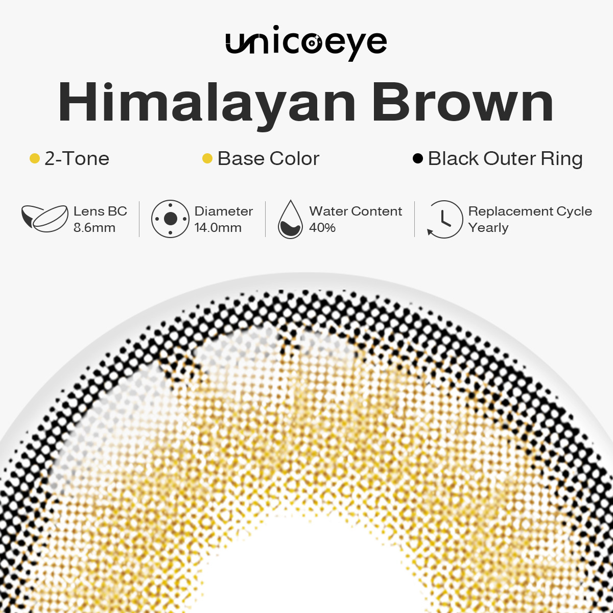 Himalayan Brown Yearly Contact Lenses