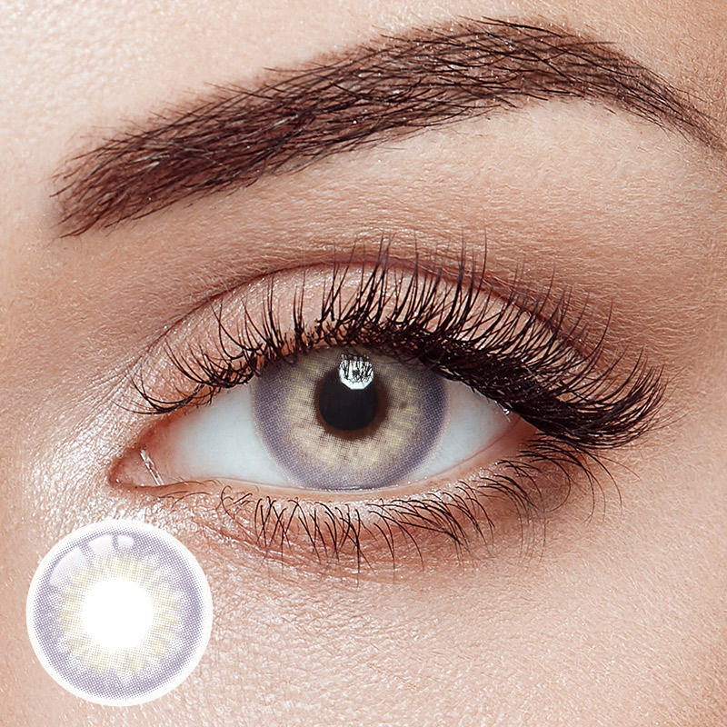 Taylor Purple Yearly Contact Lenses