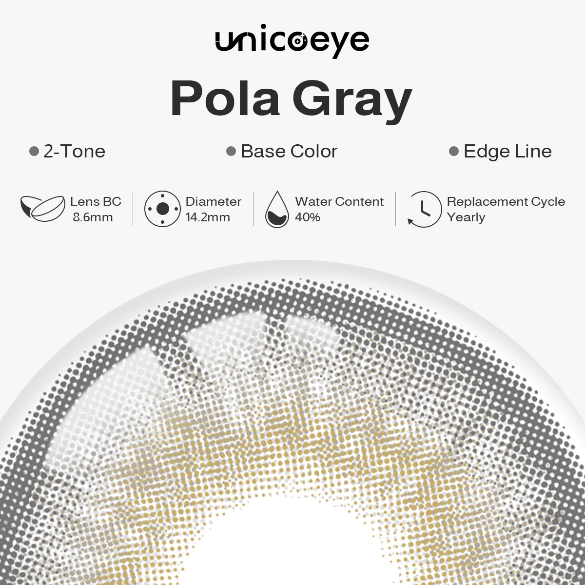 Pola Gray Yearly Contact Lenses